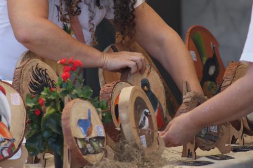 Foto da Feira de Produtores e Artesãos - Villa Jardins