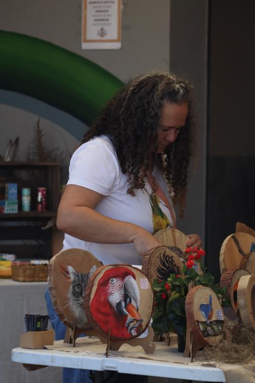 Foto da Feira de Produtores e Artesãos - Villa Jardins