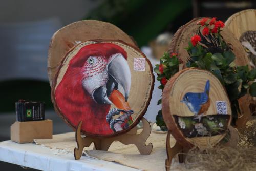 Foto da Feira de Produtores e Artesãos - Villa Jardins