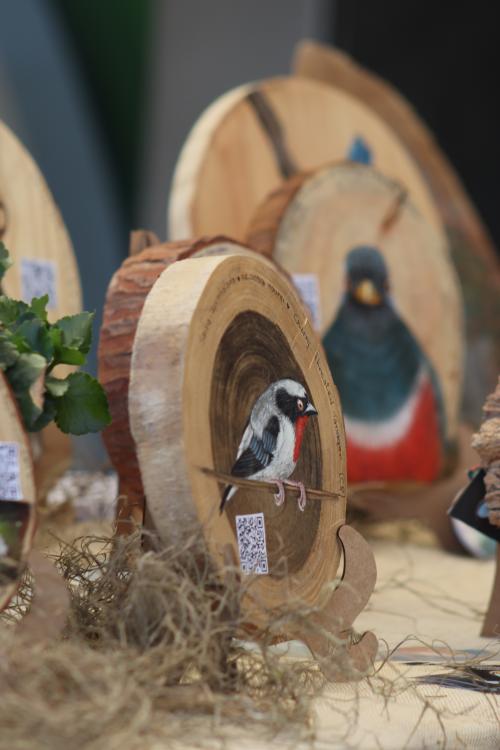 Foto da Feira de Produtores e Artesãos - Villa Jardins