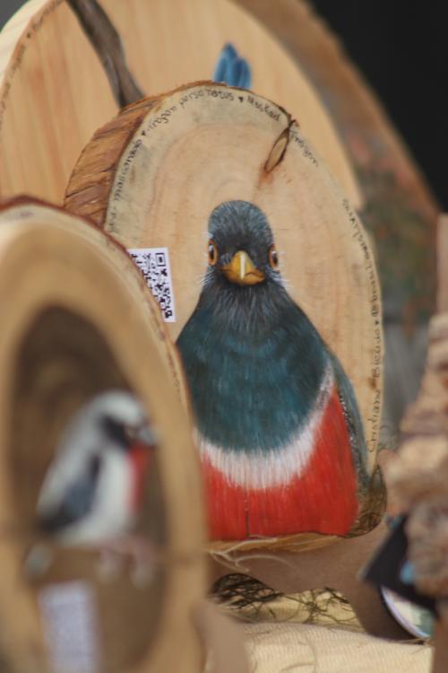 Foto da Feira de Produtores e Artesãos - Villa Jardins