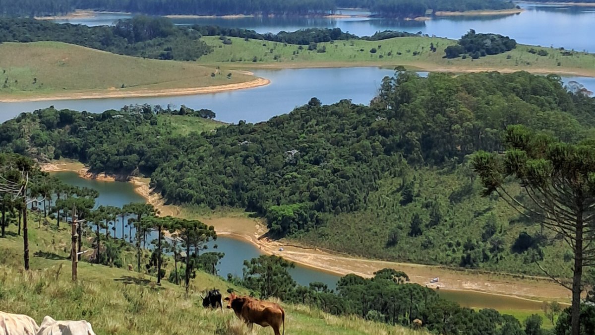 Vista do Parque Pinheirinho em Salesópolis, roteiro de bem-estar com o Villa Jardins