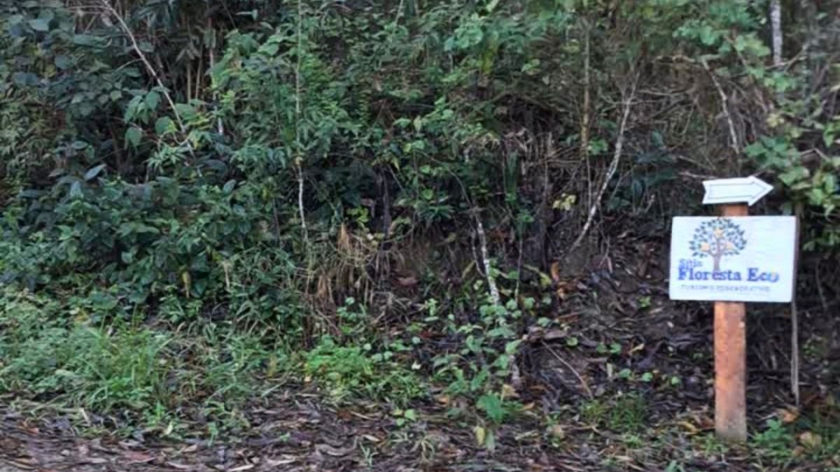 Pão de abóbora cabotiá do Sítio Floresta, servido no Villa Jardins em Salesópolis